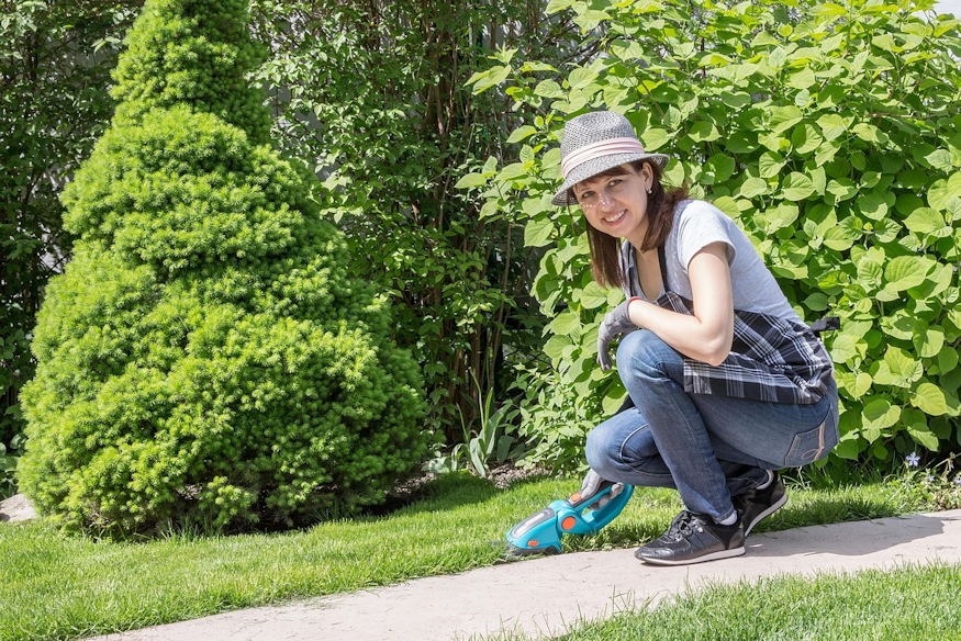 cukorsuvegfenyo minden evszakban 04