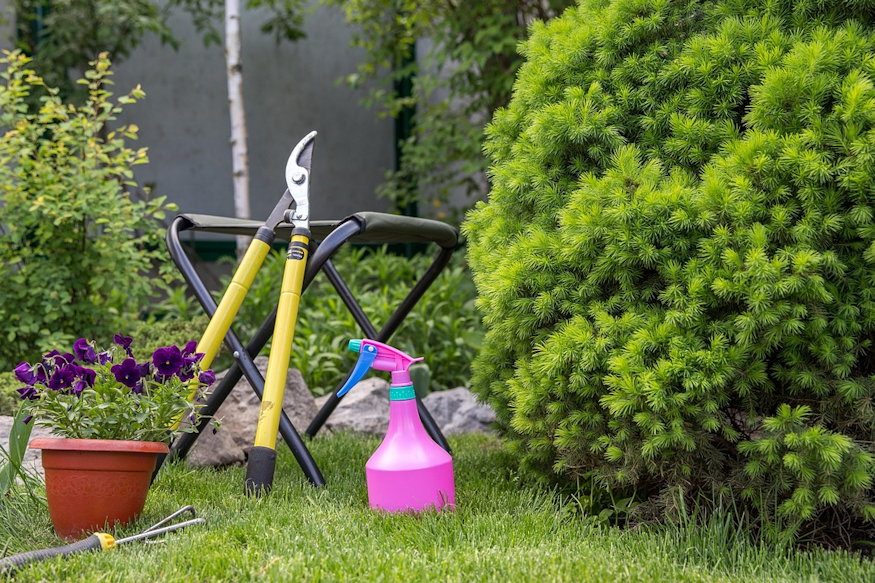 cukorsuvegfenyo minden evszakban 05