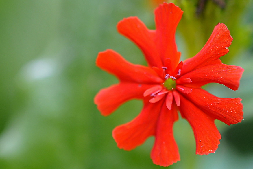 egoszerelem langolo 02