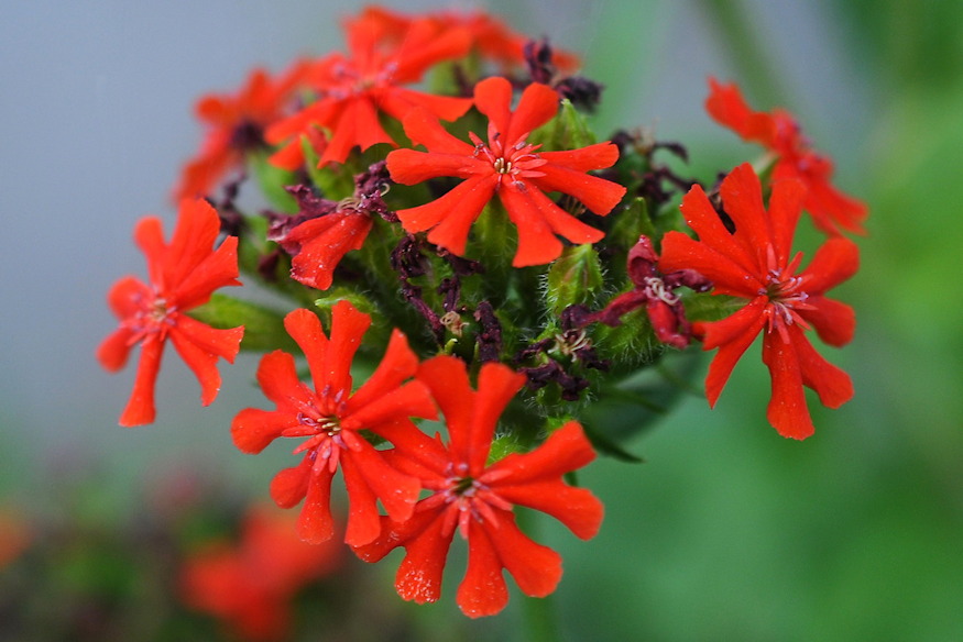 egoszerelem langolo 03