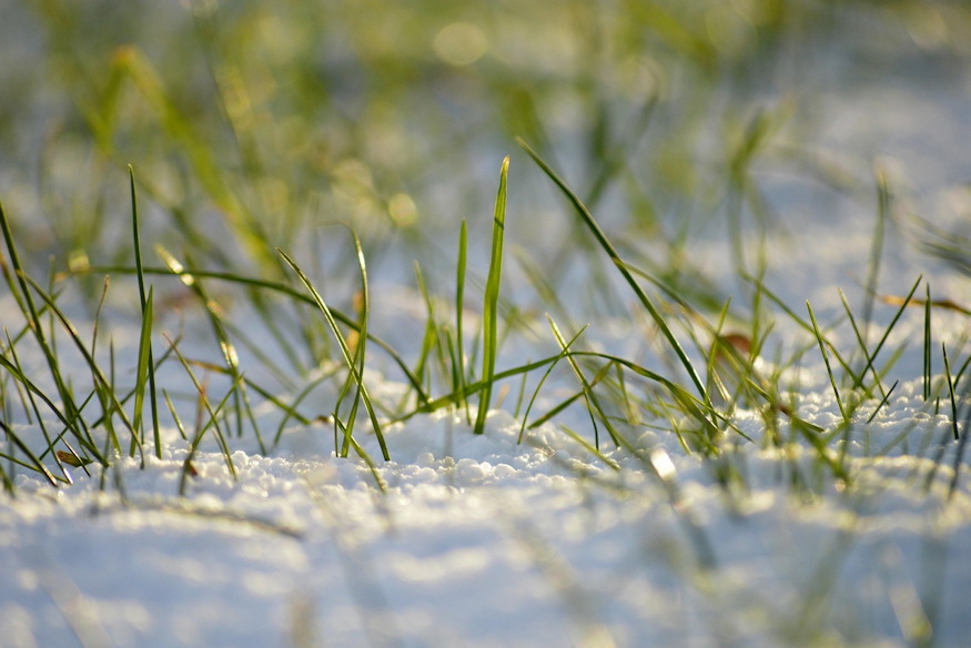 ho alatti sar miert ne 02