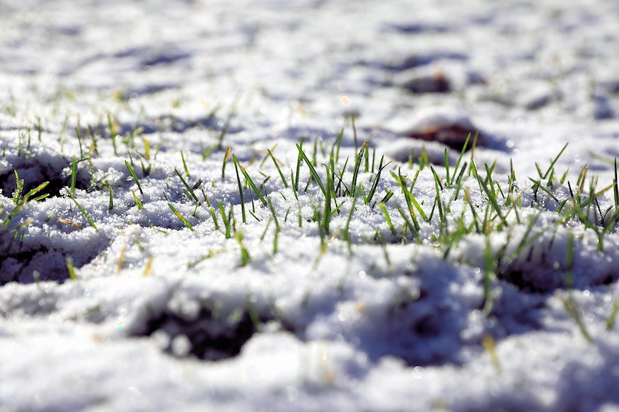 ho alatti sar miert ne 03