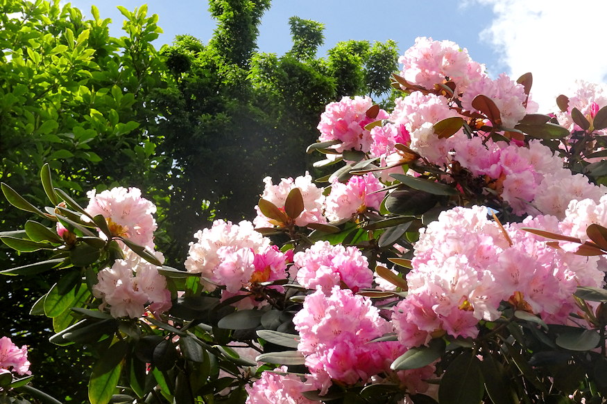 ketaba havasszepe 02