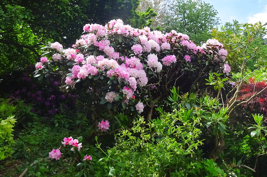 ketaba havasszepe 03