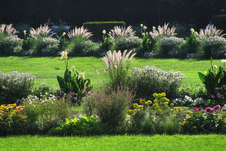 nem szabad levagni diszfuveket 02