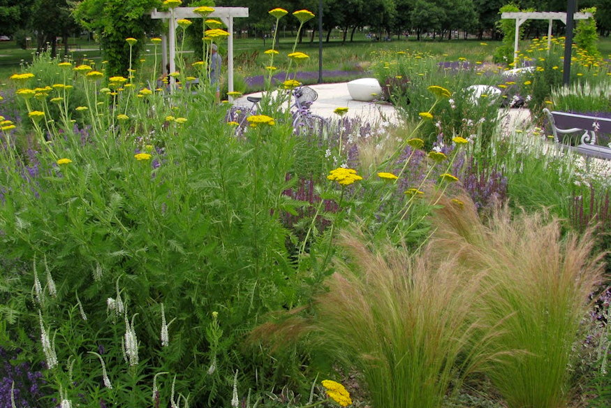 nem szabad levagni diszfuveket 03