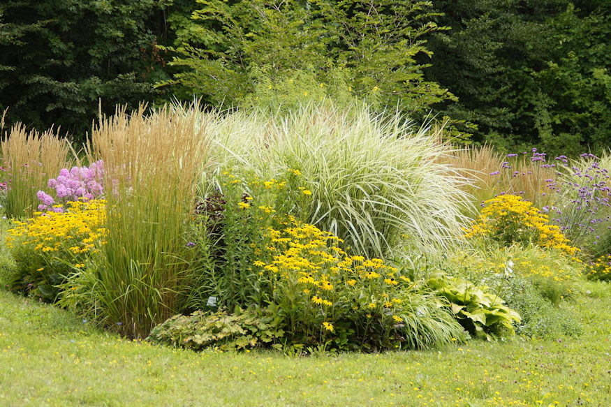 nem szabad levagni diszfuveket 07