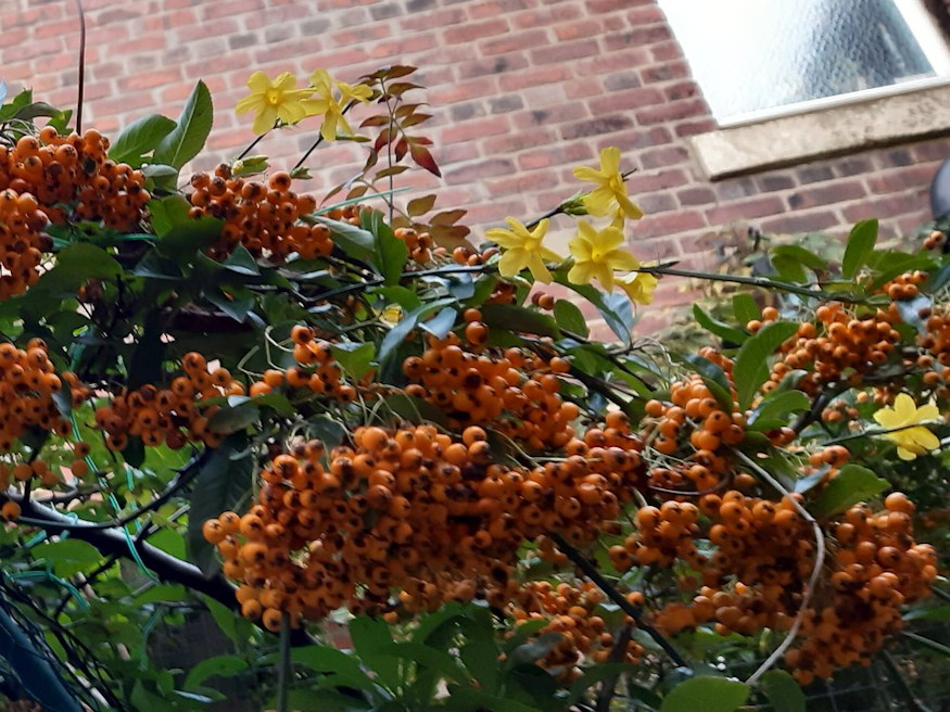 noveny nem erti tel van 02