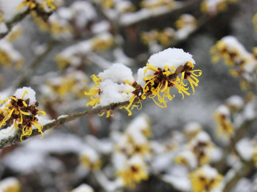 noveny nem erti tel van 04