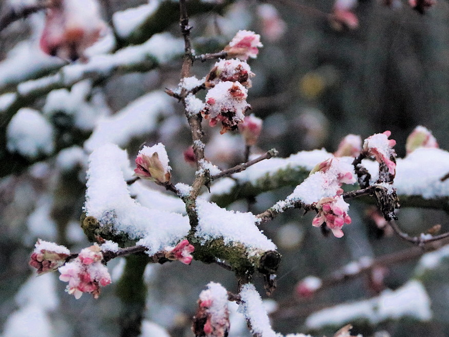 noveny nem erti tel van 05