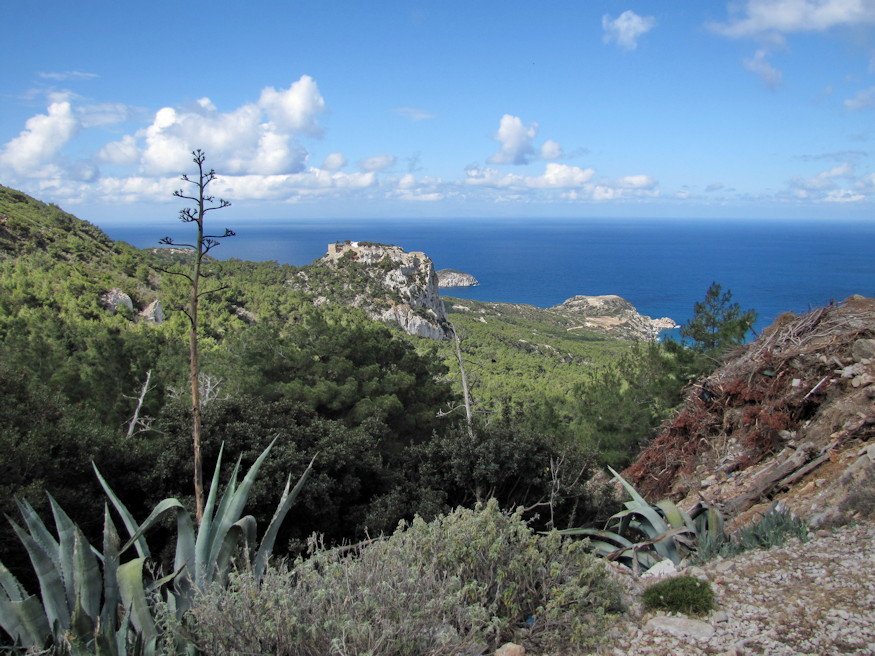 virag egyszer nyilik eleteben 06