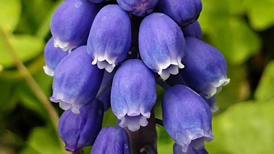 furtos gyongyike vadonba szokott 05