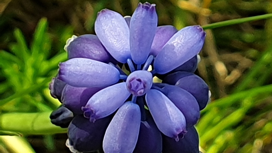 furtos gyongyike vadonba szokott 07