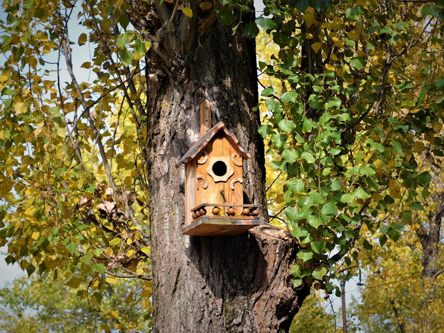 nyarfak szelek festoi 02