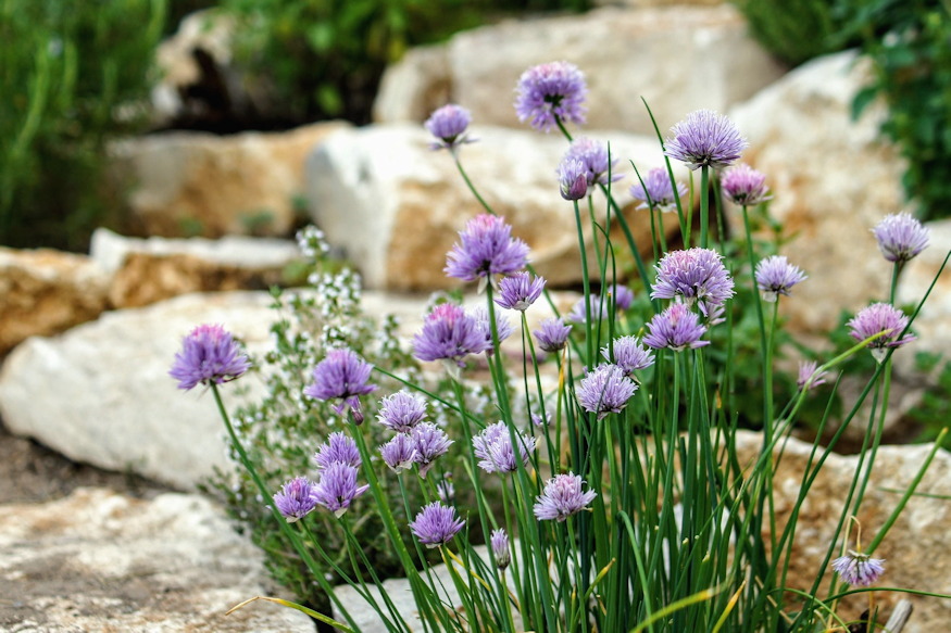 nem konyhaablak mumusai 02