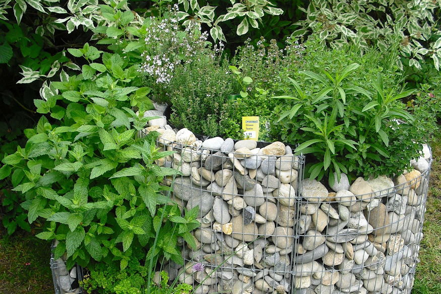 nem konyhaablak mumusai 05