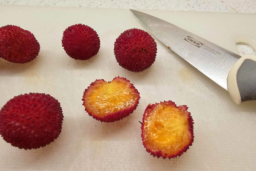 atlanti szamocafa bosszuja 03