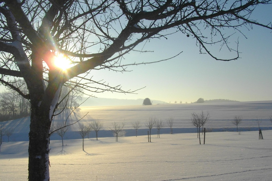 februari metszes ezt ne 03