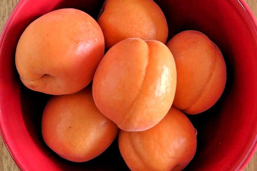 kajszi a hazikertben 06