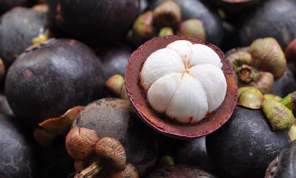 A gyümölcs, amely úgy néz ki, mintha egy lila gránát engedély nélkül kinyílt volna – a mangosztán titkai