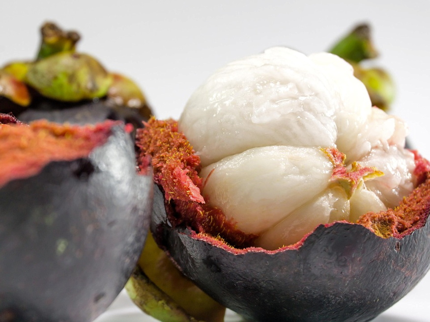 lila granat mangosztan 04