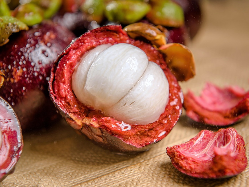 lila granat mangosztan 05