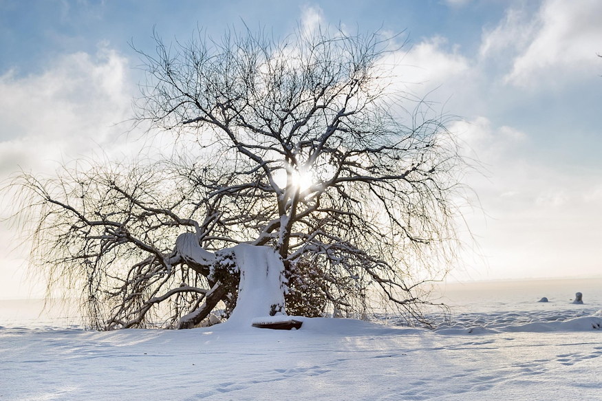 dec 16 tel joszag 04