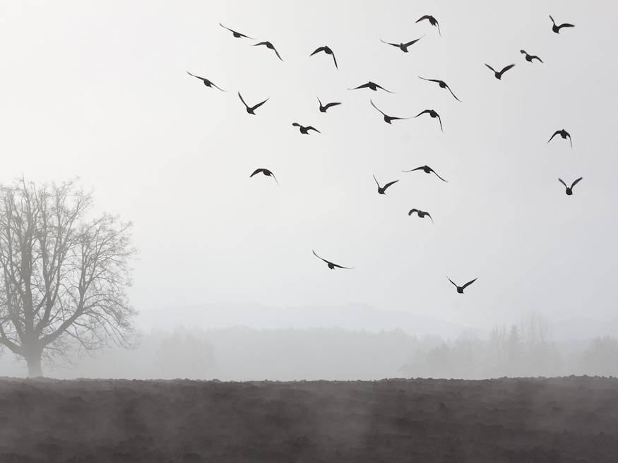 nov 12 szent jozafat napja 03