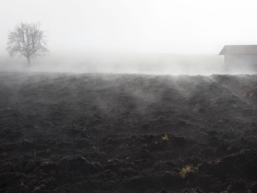nov 13 aranyszaju szent janos napja 03