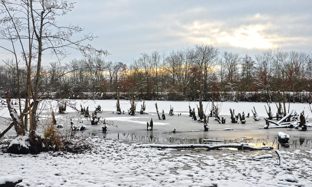 November 23. – Szent Kelemen napja: amikor a víz jósnak áll