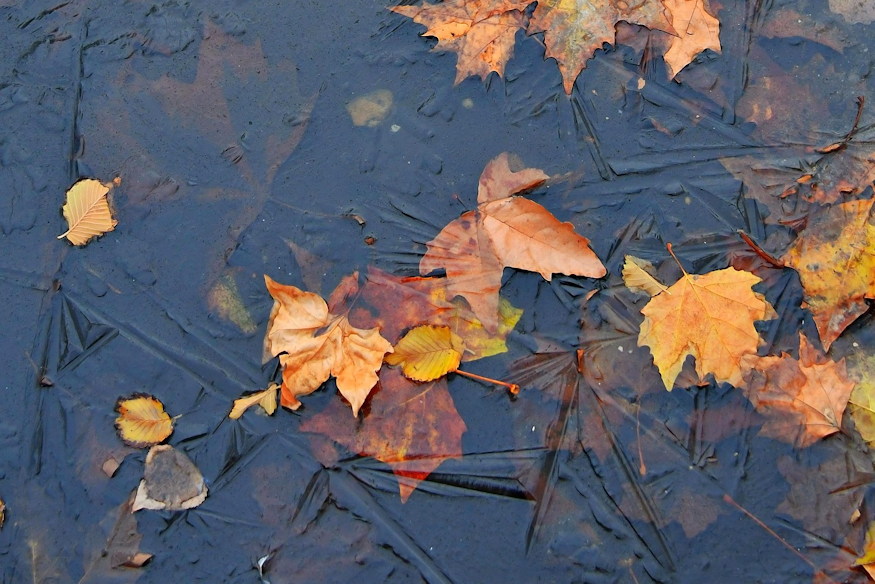 nov 23 szent kelemen 02