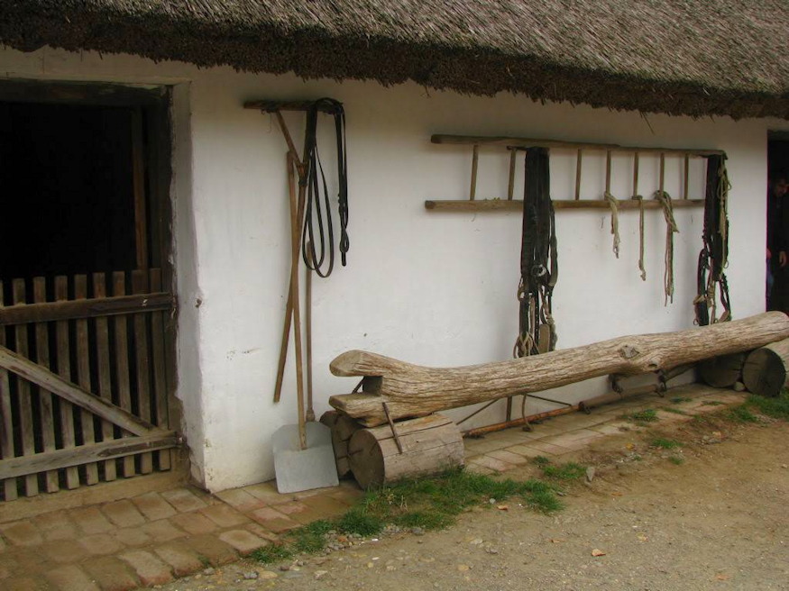 november 21 maria napja 03