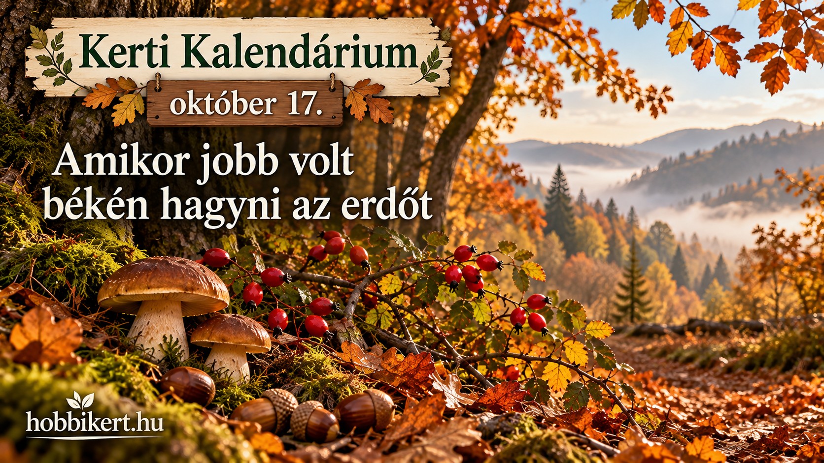 Október 17. Amikor jobb volt békén hagyni az erdőt