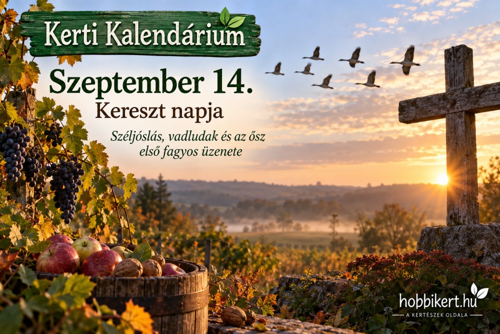 Szeptember 14. Kereszt napja: széljóslás, vadludak és az ősz első fagyos üzenete