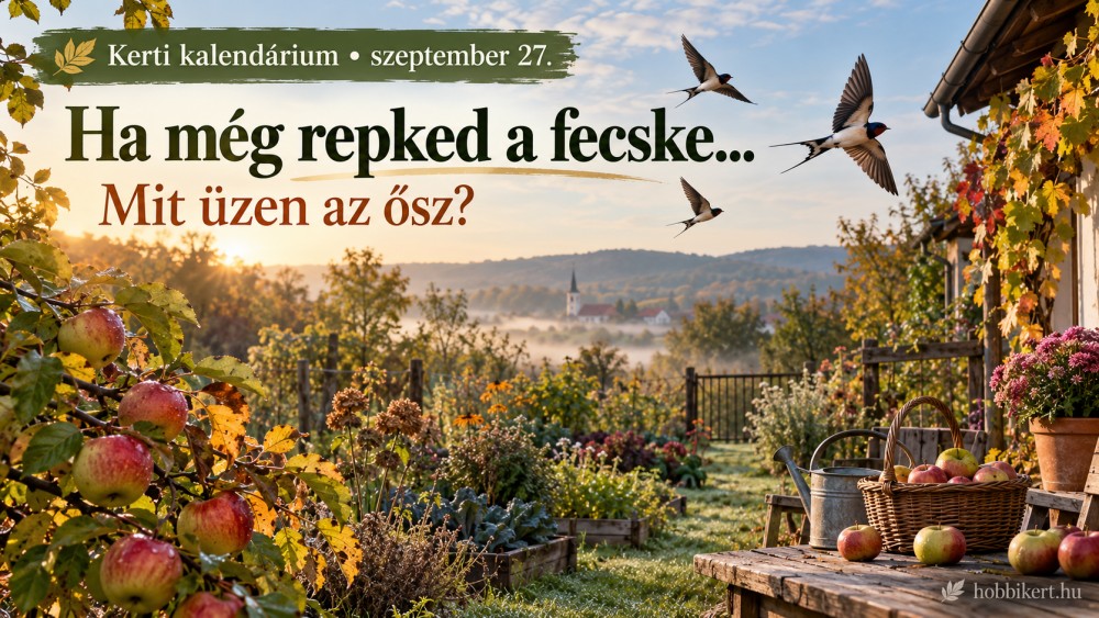 Szeptember 27. Ha még repked a fecske, mit üzen az ősz?