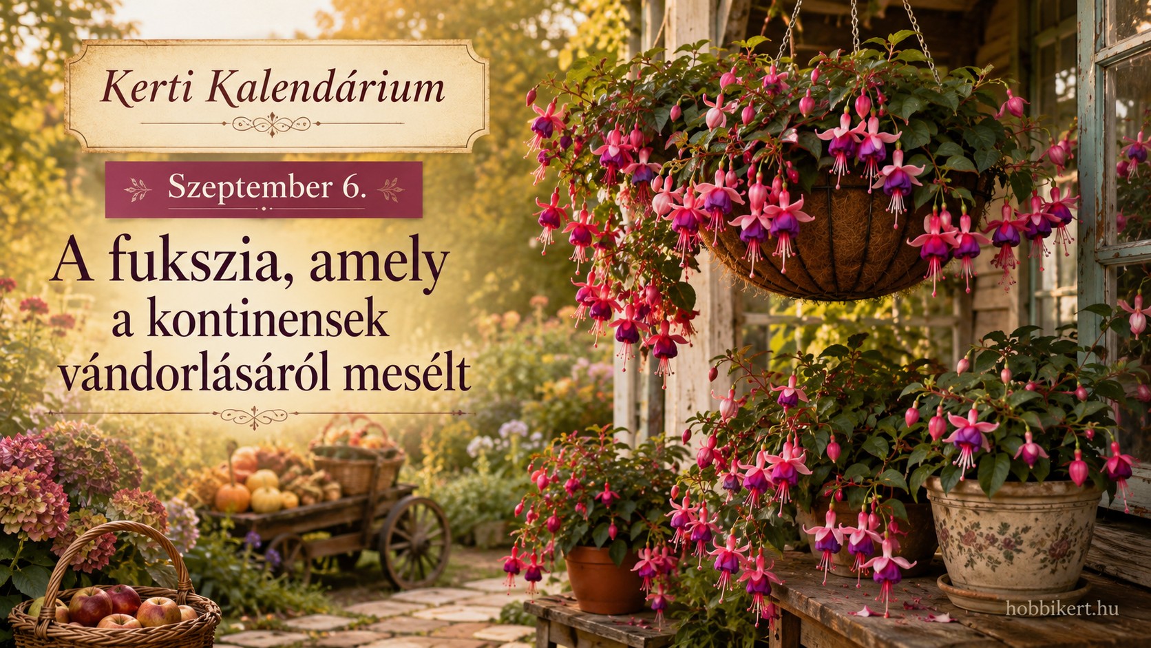 Szeptember 6. A fukszia, amely a kontinensek vándorlásáról mesélt