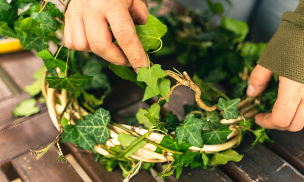 Girlandok, koszorúk, ágak: hogyan buknak meg a kertészek a 