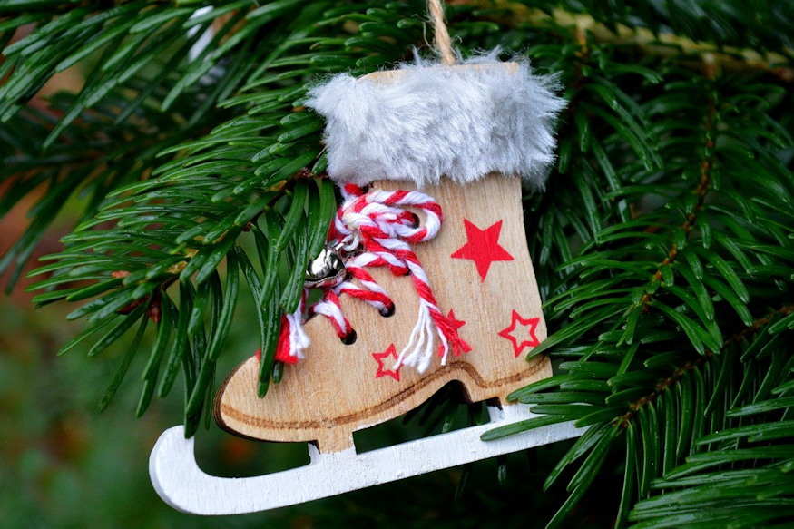 hogyan lettek karacsonyi novenyek 02