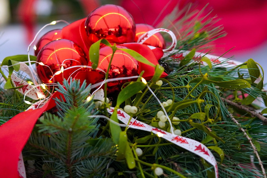 hogyan lettek karacsonyi novenyek 03