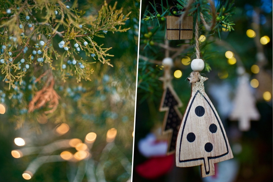 hogyan lettek karacsonyi novenyek 06