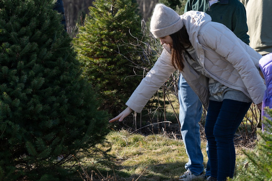 nem egyformak karacsonyi fenyok 05