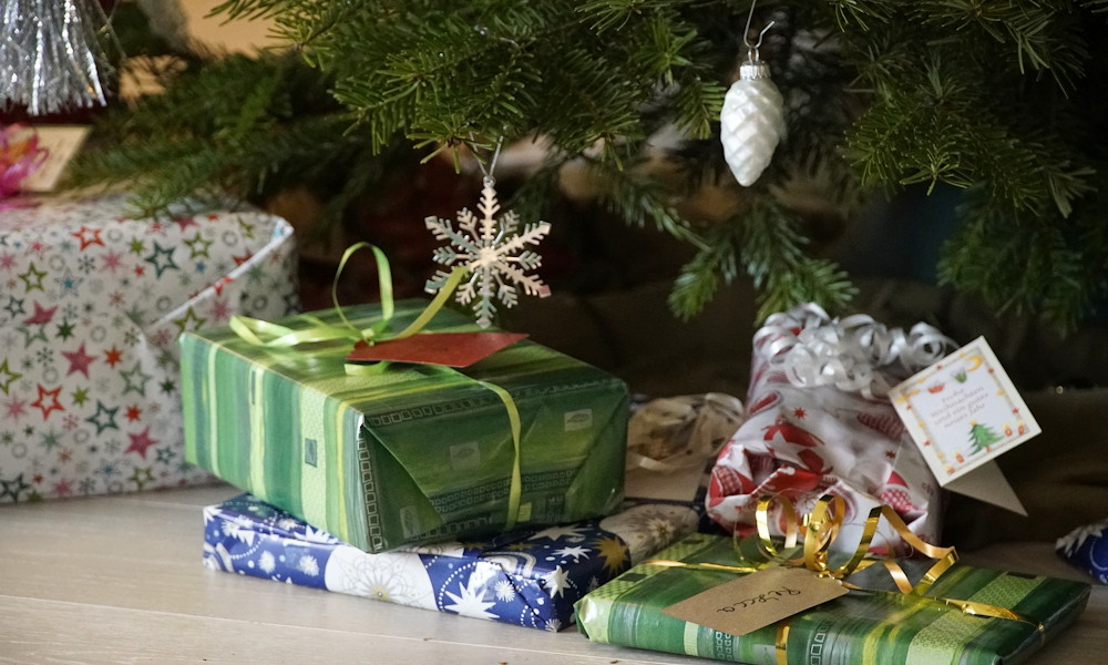 Növekvő tűlevélhegyek, fogyatkozó türelem – hogyan éljük túl az ünnepi fenyőtartást?