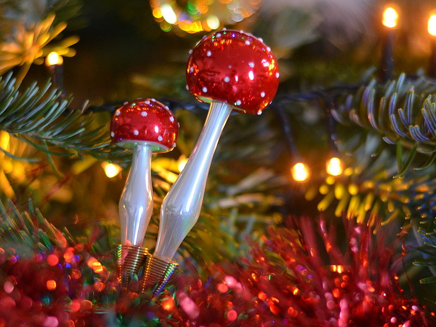 novekvo tulevelhegyek 02