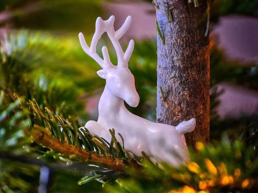 novekvo tulevelhegyek 03