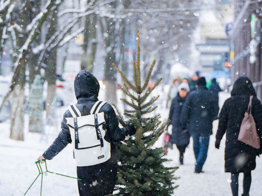 novekvo tulevelhegyek 05