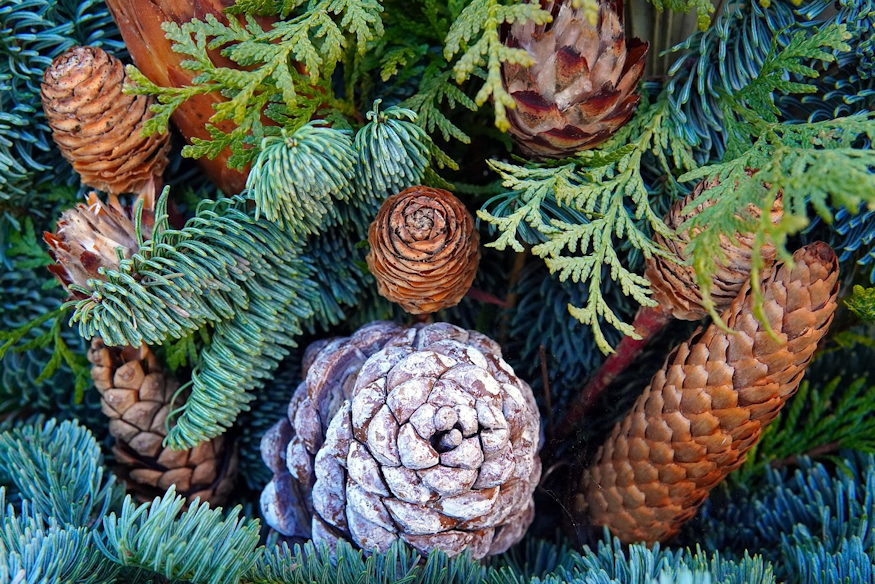 zold ajandekok kertbol 06