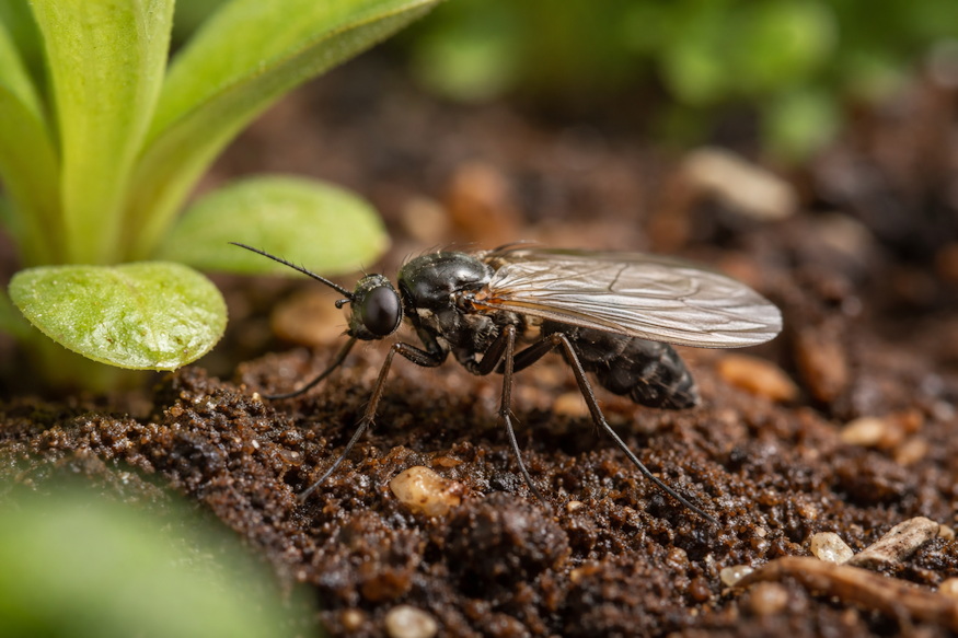 mi a fene tozeglegy 02