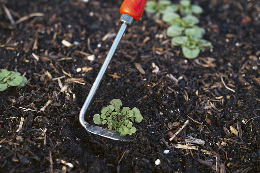 felco premium kerti szerszamai 05