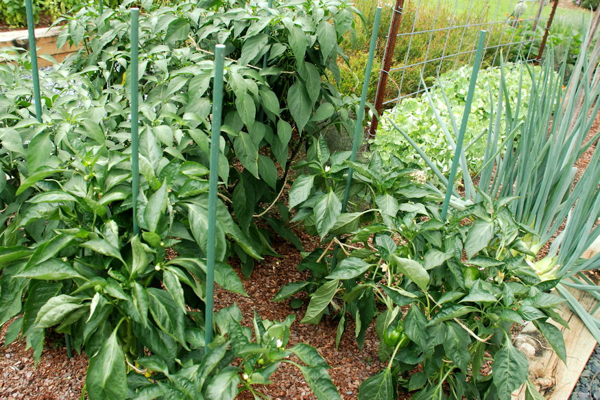 foldcsere nelkul frissitheto 02