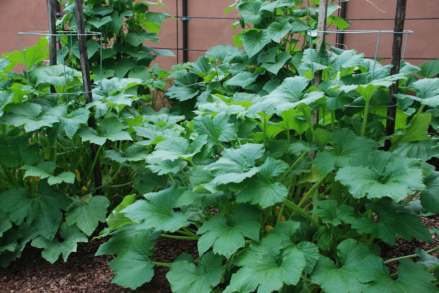 foldcsere nelkul frissitheto 04